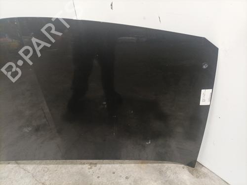 Hood RENAULT MEGANE II (BM0/1_, CM0/1_) 1.5 dCi (BM1E, CM1E) | BP24505182C1 