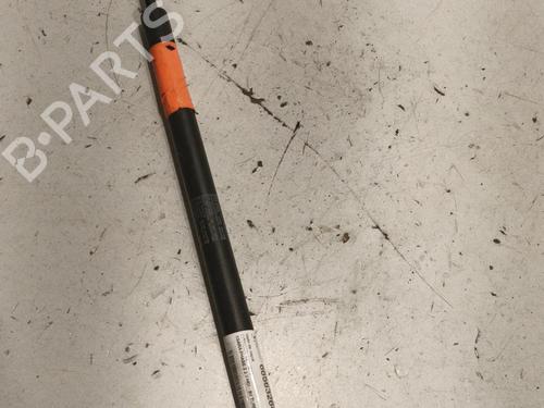 Hood lift support CITROËN XSARA (N1) 2.0 HDi 90 | BP22580183C139 