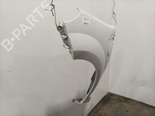 Left front fenders RENAULT TWINGO II (CN0_) 1.5 dCi 75 | BP29822324C41