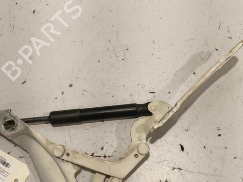 Hinge/Door check strap MINI MINI (R56) One | BP26297071C146 