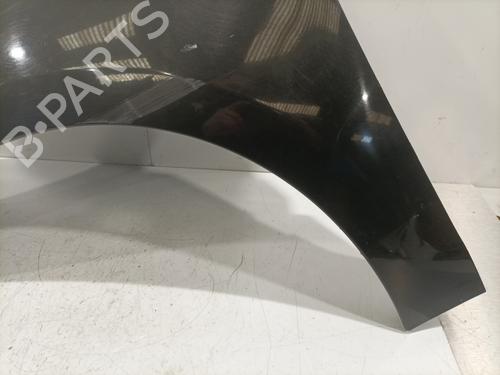 Left front fenders RENAULT SCÉNIC III (JZ0/1_) 1.5 dCi | BP29424975C41 
