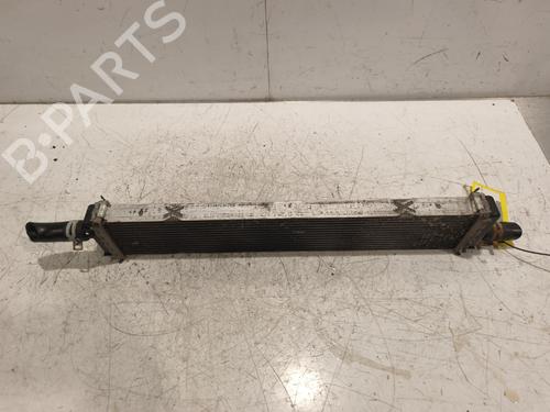 Water radiator RENAULT CLIO V (B7_) 1.5 Blue dCi 115 (B7AD) | BP40507608M31 - Image 5