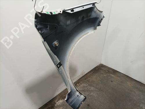 Left front fenders RENAULT TWINGO II (CN0_) 1.5 dCi 75 | BP29822324C41