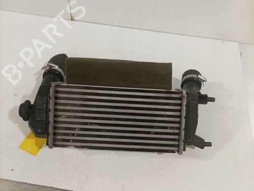 Intercooler FORD FIESTA VII (HJ, HF) 1.0 EcoBoost | BP28020736M30 