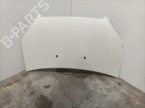 Used Hood FIAT DOBLO Box Body/MPV (223_) 1.3 D Multijet (75 hp) 24114221
