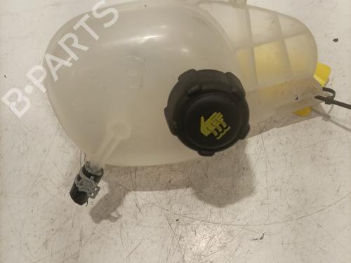 Expansion tank RENAULT TWINGO III (BCM_, BCA_) Z.E: (BCA1) | BP27606208C120 