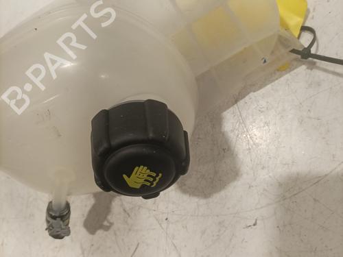Used Expansion tank RENAULT TWINGO III (BCM_, BCA_) Z.E: (BCA1) (82 hp) 27606208