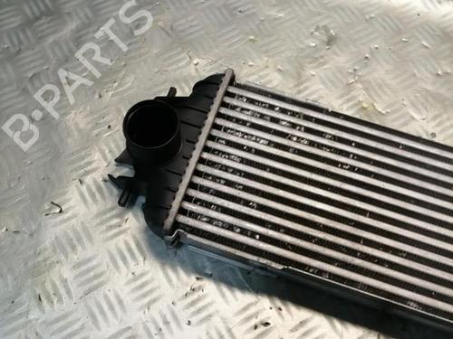 Used Intercooler Intercooler RENAULT TRAFIC II Van (FL) 1.9 dCi 100 (FL0C, FL0K, FL0B) (101 hp) 22583731 22583731