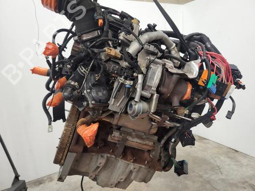 Moteur RENAULT KANGOO Express (FW0/1_) 1.5 dCi 90 (FW0G, FW05, FW08, FW11) (90 hp) 29631129