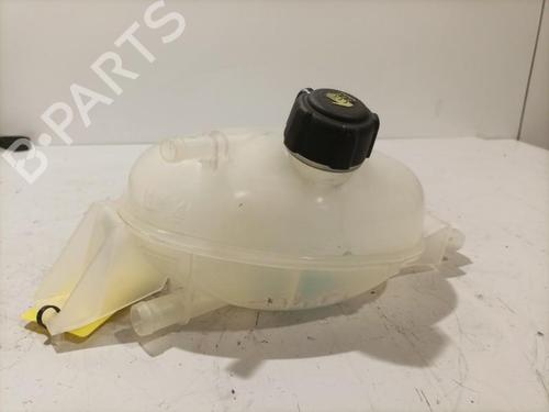 Ekspansjonstank Ekspansjonstank RENAULT MASTER III Van (FV) 2.3 dCi 145 RWD (FV0E, FV0F, FV0T, FV10, FV12, FV11) (146 hp) 22579251 22579251