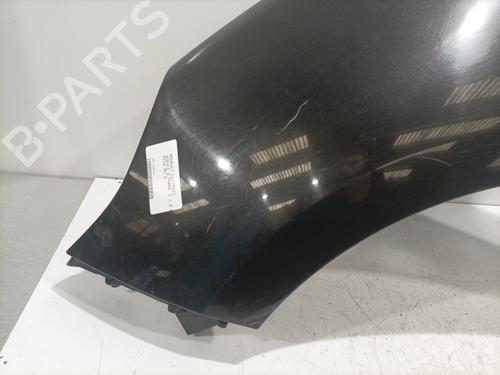 Left front fenders RENAULT SCÉNIC III (JZ0/1_) 1.5 dCi | BP29424975C41 