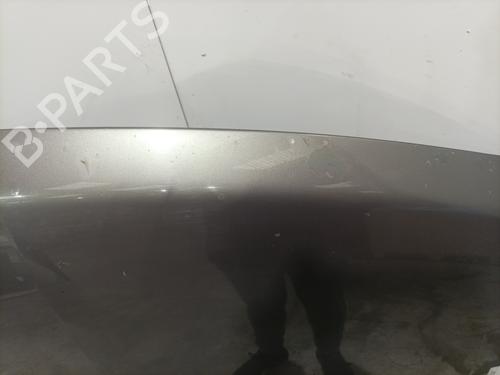Hood RENAULT VEL SATIS (BJ0_) 2.2 dCi (BJ0E, BJ0F) | BP28415728C1 