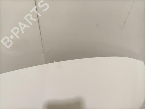 hood-citroen-c3-ii-sc_-14-hdi-70-sc8hzc-sc8hr0-sc8hp4-00007901r1-2009-22569195 main image