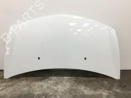 Hood RENAULT CLIO III (BR0/1, CR0/1) 1.5 dCi (C/BR0G, C/BR1G) | BP22573018C1 