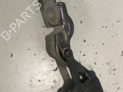 Hinge/Door check strap BMW X6 (E71, E72) xDrive 35 d | BP22574802C146 