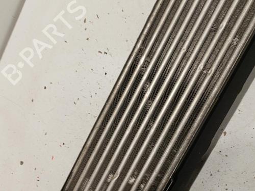 Intercooler LAND ROVER RANGE ROVER SPORT I (L320) 2.7 D 4x4 | BP22585995M30 