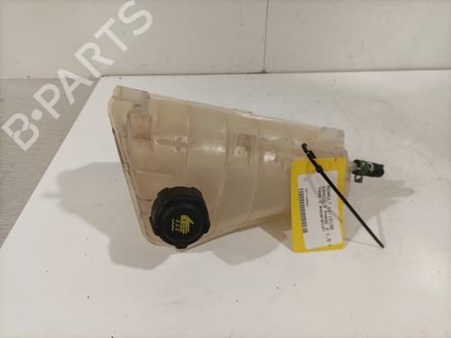Ekpansionstank RENAULT KANGOO Express (FW0/1_) 1.5 dCi 90 (FW0G, FW05, FW08, FW11) (90 hp) 29737762