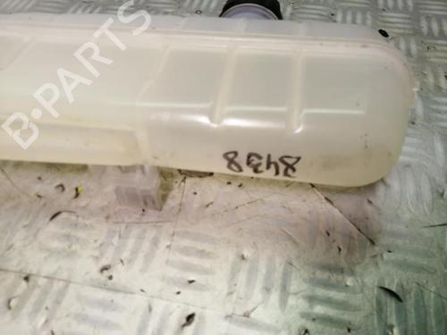 Used Expansion tank RENAULT ZOE (BFM_) ZOE (92 hp) 22587349