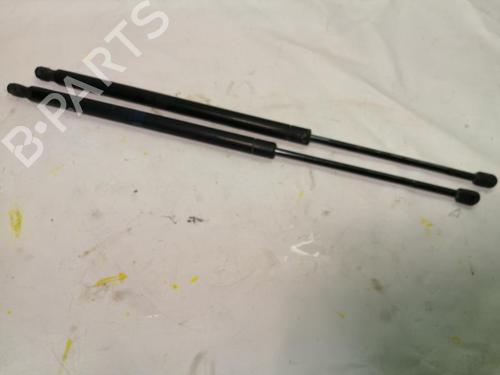 Used Tailgate lift support LAND ROVER RANGE ROVER SPORT I (L320) 3.0 D 4x4 (245 hp) 22571287