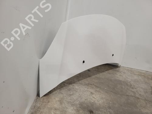 hood-citroen-ds3-sa_-2009-2010-2011-2012-2013-2014-2015-2016-39255459 main image