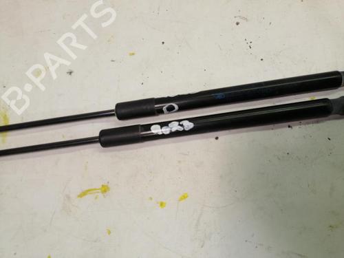 Used Tailgate lift support RENAULT MEGANE III Grandtour (KZ0/1) 1.5 dCi (KZ09, KZ0D, KZ1G, KZ29, KZ14, KZ1W, KZ10, KZ1F,... (110 hp) 22575613