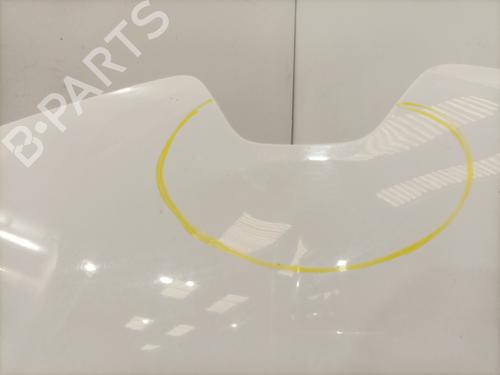 Hood RENAULT ZOE (BFM_) ZOE | BP32449031C1 