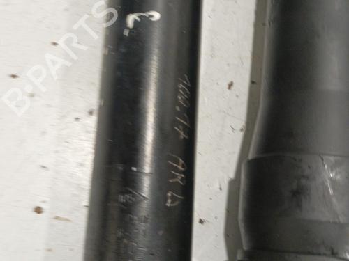 Right rear shock absorber RENAULT MEGANE III Grandtour (KZ0/1) 1.5 dCi (KZ09, KZ0D, KZ1G, KZ29, KZ14, KZ1W, KZ10, KZ1F,... | BP22574736M19 