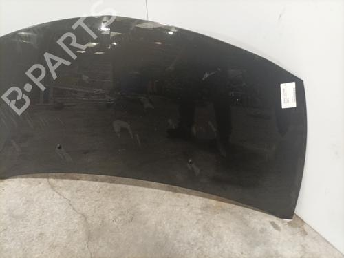 Hood RENAULT CLIO III (BR0/1, CR0/1) 1.5 dCi (BR17, CR17) | BP25653218C1 