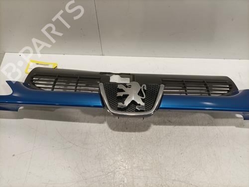 grille-peugeot-206-cc-2d-2000-2001-2002-2003-2004-2005-2006-2007-2008-32430904 main image
