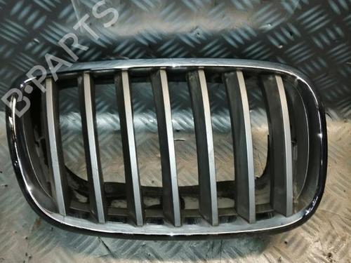 Grille BMW X6 (E71, E72) xDrive 35 d | BP22590164C40 