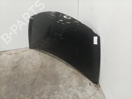 Capot Capot RENAULT CLIO III (BR0/1, CR0/1) 1.5 dCi (BR17, CR17) (86 hp) 25653218 25653218