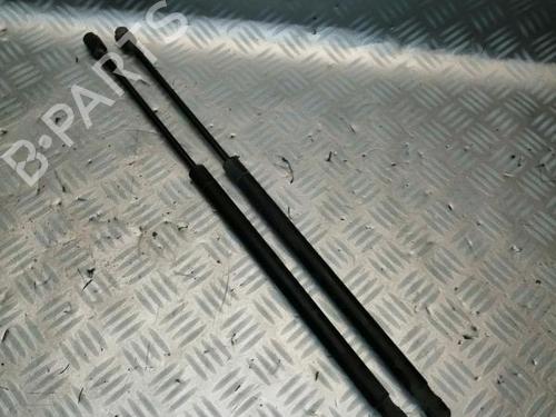 Used Tailgate lift support RENAULT SCÉNIC II (JM0/1_) 1.5 dCi (JM1E, JM16) (106 hp) 22578463