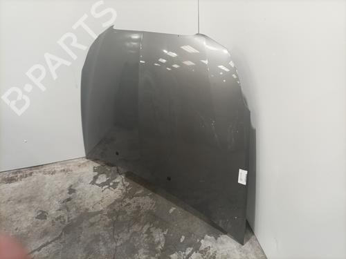 Hood LANCIA DELTA III (844_) 2.0 D Multijet (844.AXD1A, 844.AXM1A) | BP24658610C1 