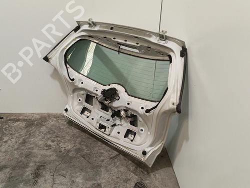 Tailgate RENAULT MEGANE II (BM0/1_, CM0/1_) 1.5 dCi (BM1E, CM1E) | BP22588062C6 
