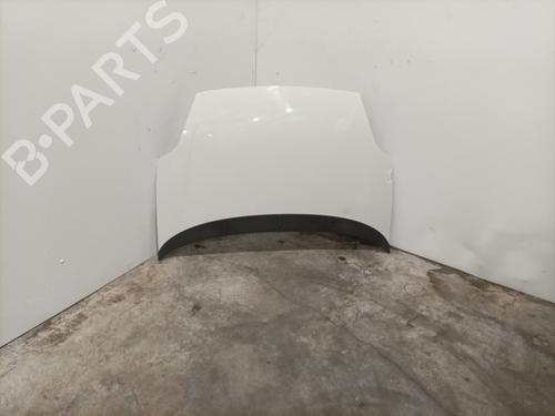 Used Hood FIAT PUNTO EVO (199_) 1.2 (69 hp) 28415732