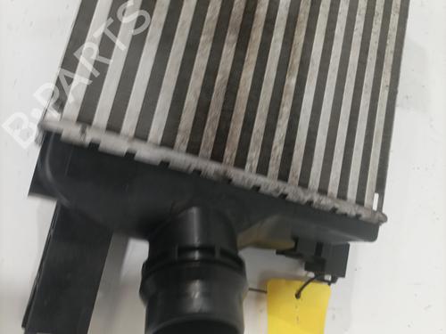 Intercooler RENAULT CLIO IV (BH_) 0.9 TCe 90 (BHNF, BHMA, BHMH, BHJK, BHJR) | BP25653186M30  - Image 9