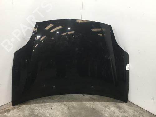 Used Hood FIAT BRAVO II (198_) 2.0 D Multijet (198AXN1B) (165 hp) 23844629