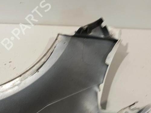 Right front fenders RENAULT CLIO III (BR0/1, CR0/1) 1.5 dCi | BP22587845C42 