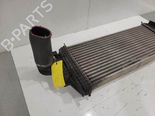 Intercooler Intercooler MERCEDES-BENZ M-CLASS (W164) [2005-2012] 36413993 36413993