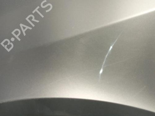 Left front fenders RENAULT LAGUNA II (BG0/1_) 1.8 16V (BG04, BG0B, BG0C, BG0V) | BP22572289C41 