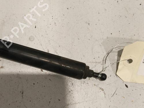 Used Hood lift support RENAULT MEGANE III Hatchback (BZ0/1_, B3_) 1.5 dCi (BZ09, BZ0D, BZ1W, BZ29, BZ14) (110 hp) 22572673