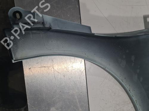 Left front fenders RENAULT TWINGO III (BCM_, BCA_) 1.0 SCe 70 (BCMB) | BP32002774C41 