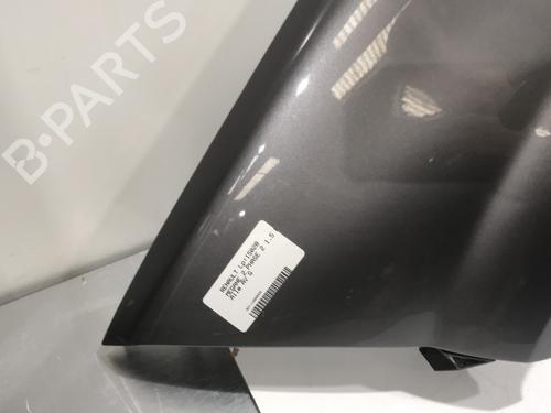 Left front fenders RENAULT MEGANE II (BM0/1_, CM0/1_) 1.5 dCi (BM1E, CM1E) | BP30000028C41