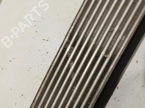 Intercooler LAND ROVER RANGE ROVER SPORT I (L320) 2.7 D 4x4 | BP22585995M30 