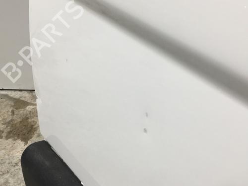 Right front door NISSAN PRIMASTAR Van (X83) 2.0 dCi 90 | BP25158319C3 