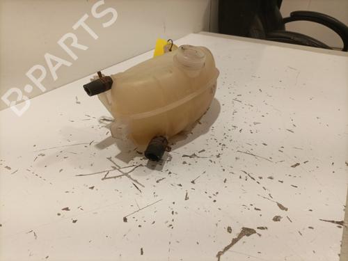 Expansion tank RENAULT MASTER II Van (FD) 2.5 dCi | BP22589543C120 