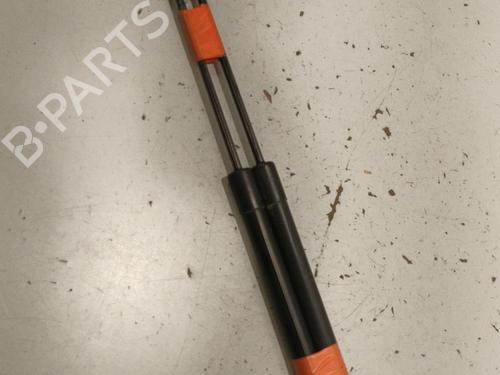 Tailgate lift support VW GOLF V (1K1) 1.9 TDI | BP22587717C138 