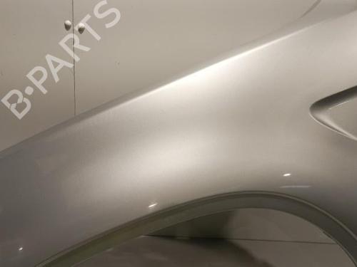 Left front fenders BMW X5 (E53) 3.0 d | BP22574615C41 