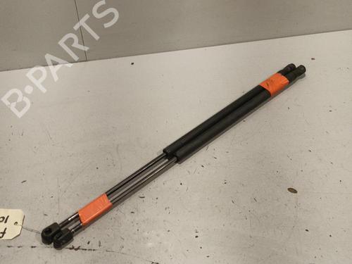 Tailgate lift support FORD FUSION (JU_) 1.6 TDCi | BP22586246C138 