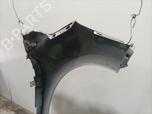 Left front fenders RENAULT CLIO IV (BH_) 1.5 dCi 75 | BP30177689C41